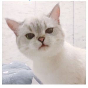 Meet your Posher, Jorge